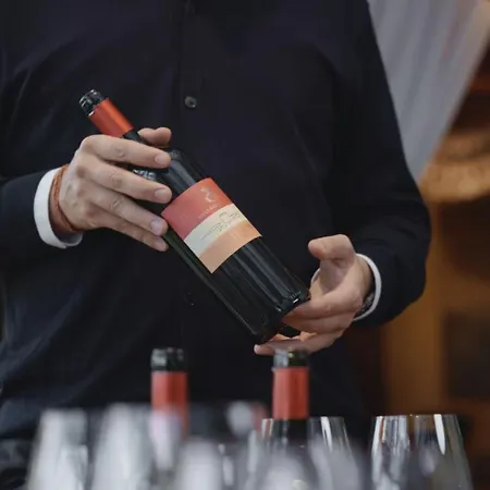 农家乐 卡斯特罗迪维卡里罗酒店