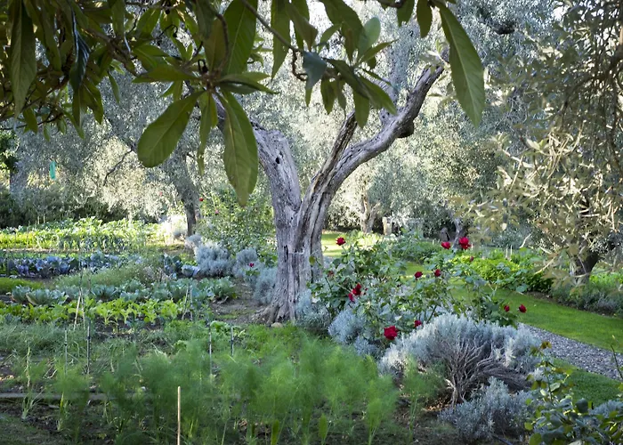 Castello Di Vicarello *